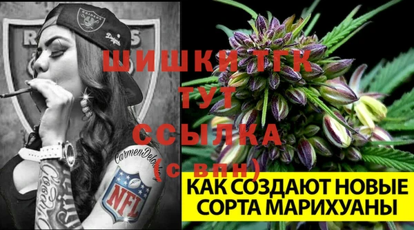 амф Абаза