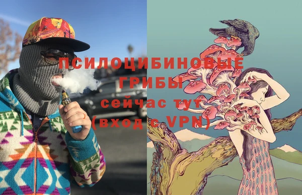 амф Абаза