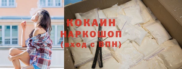 стаф Пестово