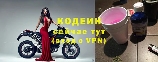 дмт Пересвет