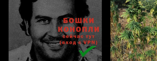 дмт Пересвет