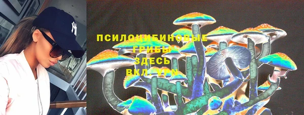 хмурый Абинск