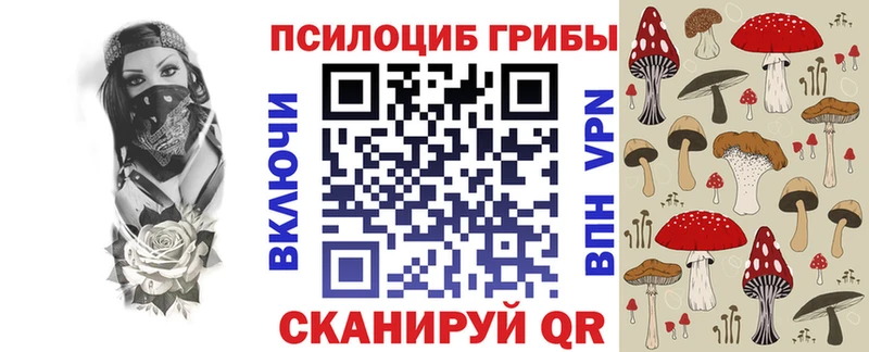 OMG как войти  как найти закладки  Азов  Галлюциногенные грибы Psilocybe 